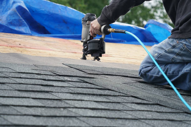 Best Roof Moss and Algae Removal  in Rutherford, PA